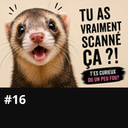 Chandail Funny  QR