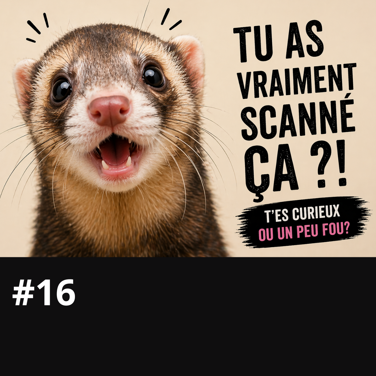 Chandail Funny  QR